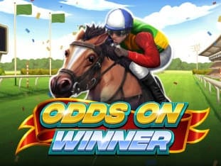 Odds On Winner screenshot